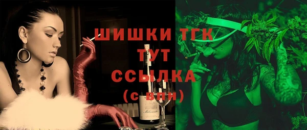 mdpv Богданович