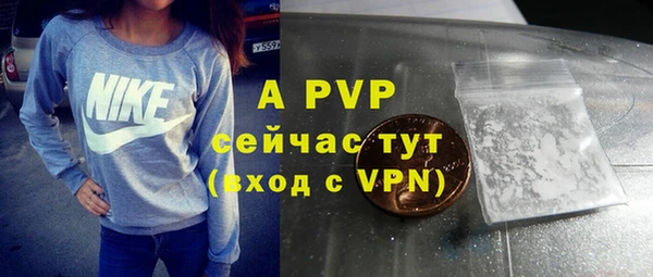 mdpv Богданович